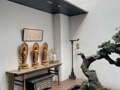 -觀芷隐轩