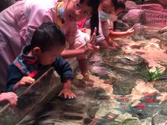 -沈阳海洋探索中心