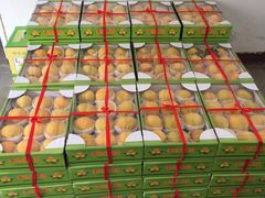 -柯剑飞超级水果批发中心(东港店)