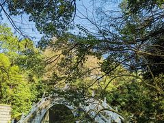 -深圳仙湖植物园