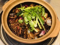 招牌胡须佬鸡煲-胡须佬鸡煲四季火锅店(石厦西村直营店)