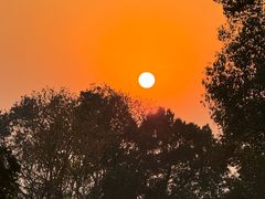 -上海市保健医疗中心