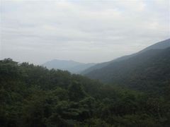 -海南霸王岭国家森林公园