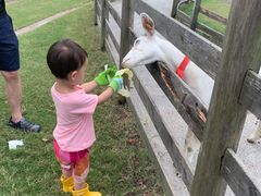 -前小桔亲子创意农场·草莓采摘·露营烧烤