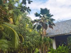 -三亚珠江南田温泉度假区