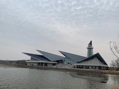 -盐城丹顶鹤湿地生态旅游区