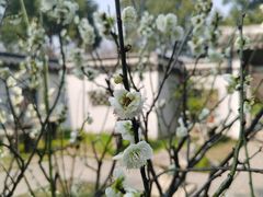 -无锡梅园公园