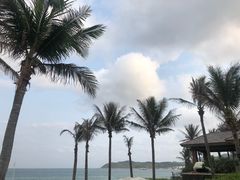 -融荟家和中餐厅(三亚海棠湾九号度假酒店)