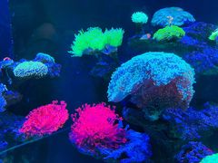 -海合安成都极地海洋公园