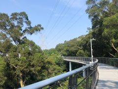 -仙岳公园