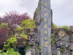 -大围山国家森林公园