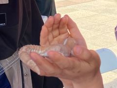 -新清华学堂