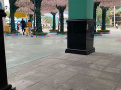 -海合安成都极地海洋公园