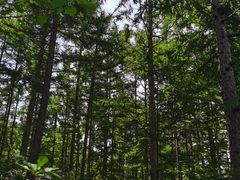 -六鼎山文化旅游区