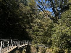 -龙苍沟森林公园