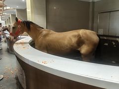 -中国马镇舞马世界主题乐园