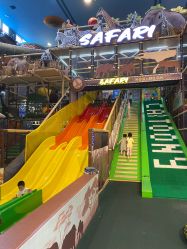 -卡通尼·Safari非洲探索乐园·生日会(金桥国际商业广场店)