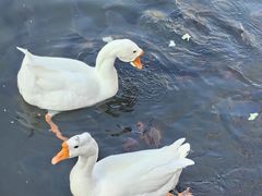 -天毓山庄·餐厅