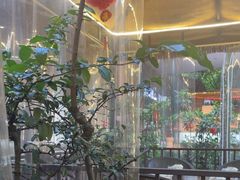 -醉月城西昌火盆烧烤(天府店)