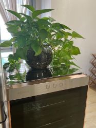 -酉嘉瑜伽YO+YOGA