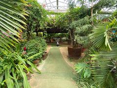 -呀路古热带植物园