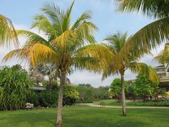 -三亚亚龙湾天域度假酒店