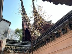 -宁波市保国寺古建筑博物馆