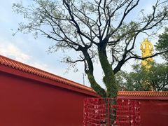 -广州莲花山旅游区