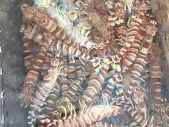 -清水湾3号(东方小周海鲜店)