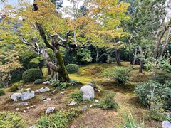 -天龙寺