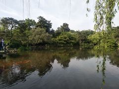 -西湖外事游船(花港观鱼码头)