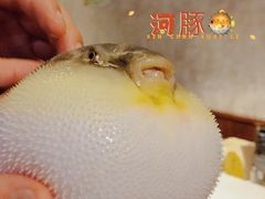 -肆月河豚·新淮扬(金融街店)