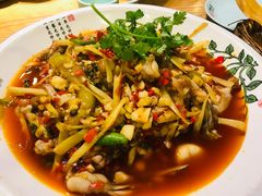 自贡跳水蛙-鸡毛店·川菜(双楠店)