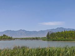 -野鸭湖国家湿地公园