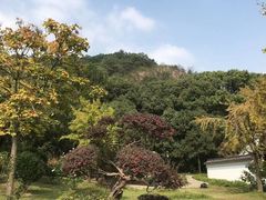 -灵岩山风景区