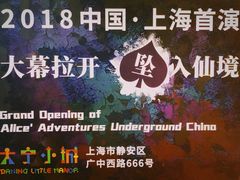 -爱丽丝冒险奇遇记