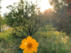 -昆山城市生态森林公园