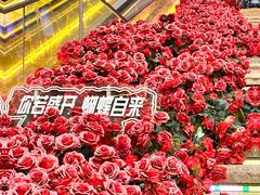 -万科生活广场(东莞松山湖店)