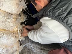 -菊园百果园