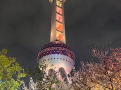 -东方明珠广播电视塔