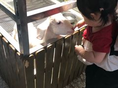 -上海大自然野生昆虫馆(东方明珠·爬宠昆虫探索中心)