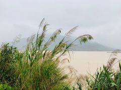 -羚羊峡古栈道森林公园