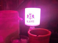 -周庄红庭演艺酒吧