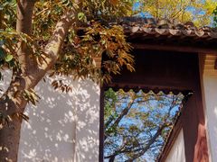 -上海佘山国家森林公园天马山园