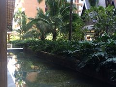 三亚湾红树林度假世界-三亚湾红树林度假世界(木棉酒店)