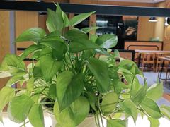 -如轩·海鲜砂锅粥·潮汕菜(南城店)