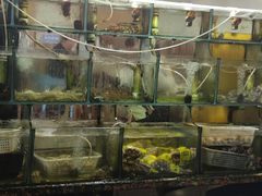 -来之顺海鲜菜馆·青岛菜(栈桥店)