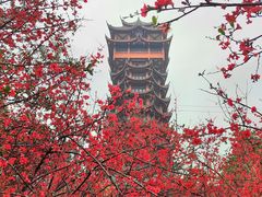 -塔子山公园
