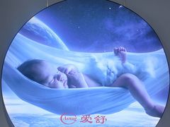 -上海月星家居(澳门路店)
