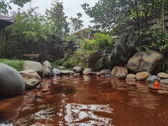 -张家港金凤凰度假村温泉